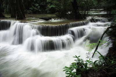 Scenic view of waterfall in forest