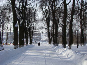 Rear view of people walking on snow covered land