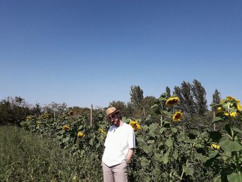 Portrait of man standing at sunflower farm against clear blue sky