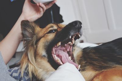 Close-up of man with dog