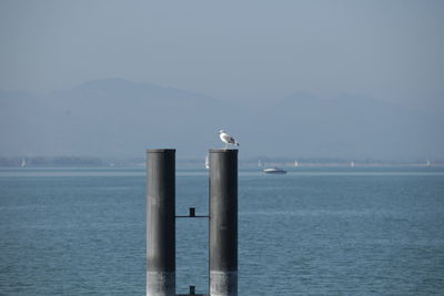 Seagull perching on column by sea against sky