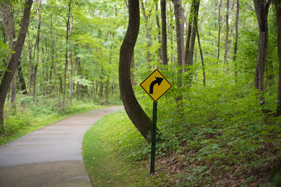 Road sign by trees in forest