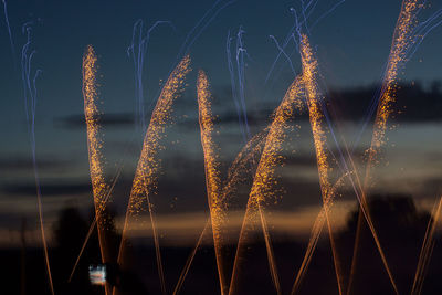 Firework display at night, long exposure