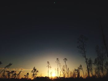 Low angle view of silhouette trees against sky at sunset