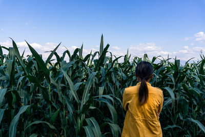 Rear view of woman standing in farm against sky