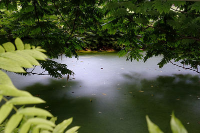 View of a lake