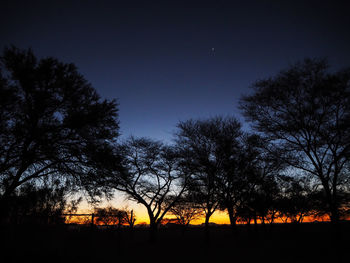 Silhouette trees on field against sky at night