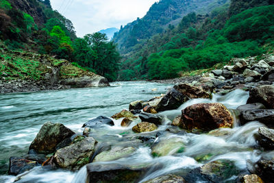 Mountain river flowing at valley with forest at day from flat angle