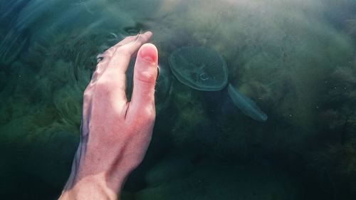 Legs of woman in water