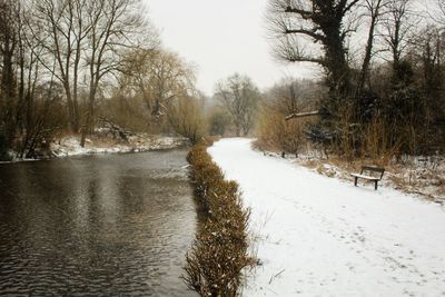 Bare trees on snow covered landscape