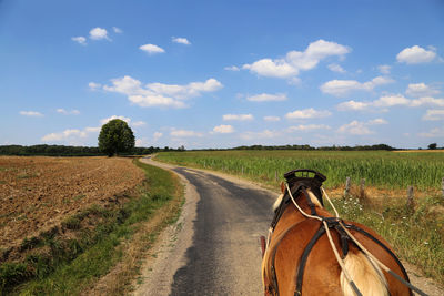 Road passing through field against sky