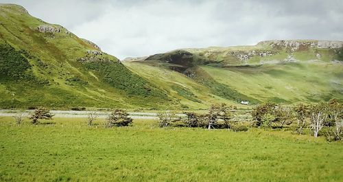 Scenic view of grassy field against cloudy sky