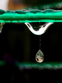 Close-up of water drops on leaf