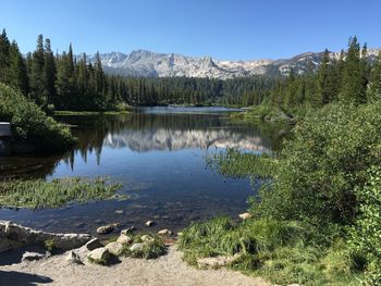 Scenic view of lake in forest against clear sky