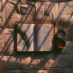 Directly above view of twig on bible by tea lights over bed at home