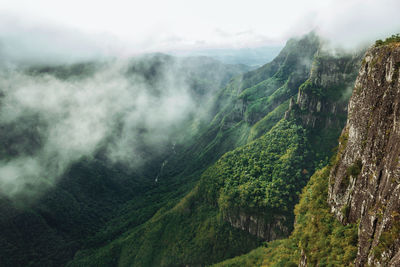 Fortaleza canyon with steep rocky cliffs covered by forest and fog, near cambará do sul, brazil.