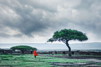 Rear view of person standing on field against sky