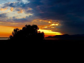 Silhouette of trees at sunset