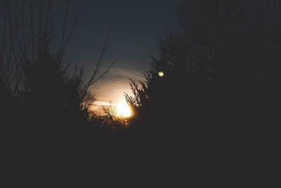 Silhouette trees against sky during sunset