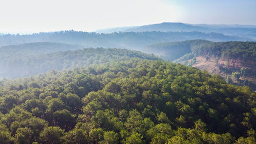 Scenic view of trees and mountains against sky