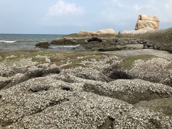 View of rocks on beach