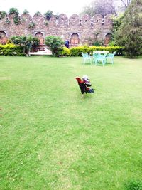 People in lawn