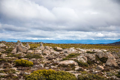 Scenic view of rocky landscape against sky