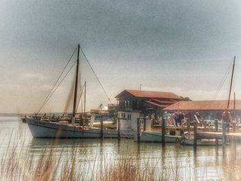 Sailboats in marina