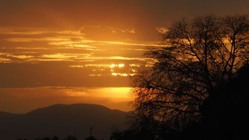 Silhouette trees against romantic sky at sunset