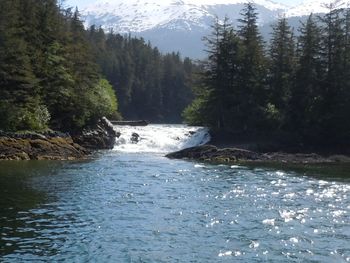 Scenic view of river flowing through rocks