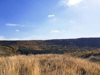 Scenic view of field against sky