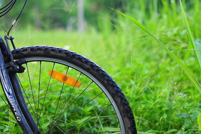Close-up of bicycle wheel by grass