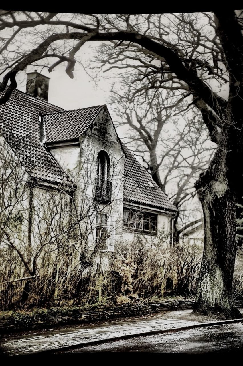 architecture, building exterior, built structure, bare tree, tree, house, branch, old, residential structure, window, tree trunk, abandoned, residential building, day, building, outdoors, no people, facade, sky, wall - building feature