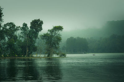 Scenic view of lake by trees against sky