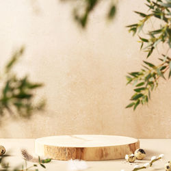 Close-up of potted plant on table