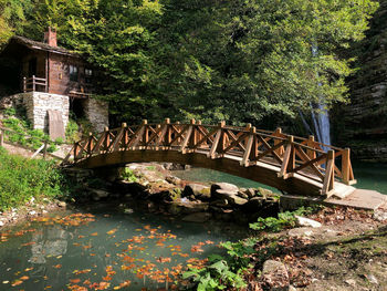 Arch bridge over river in forest