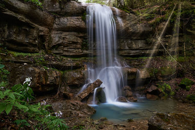 Scenic view of waterfall in forest
