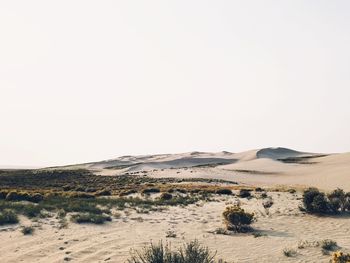 Scenic view of desert against clear sky during sunny day