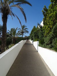 Empty road along palm trees against clear sky