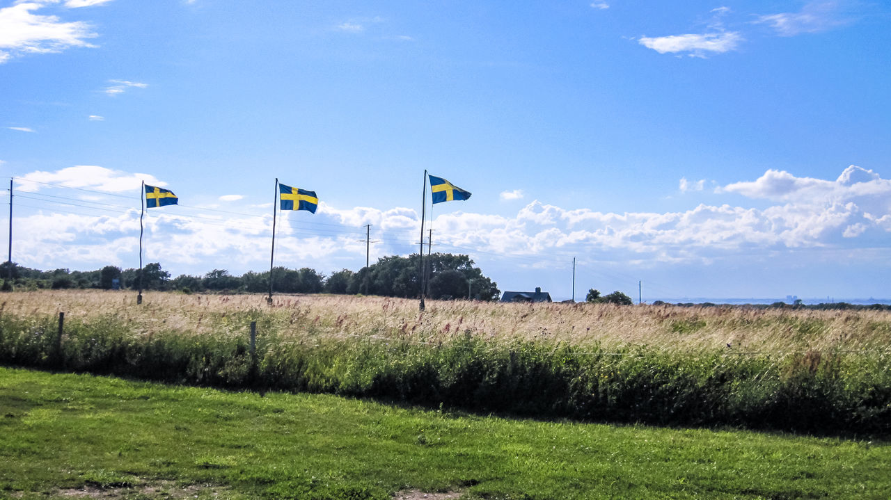 land, sky, plant, field, environment, grass, landscape, nature, day, cloud - sky, no people, sign, green color, beauty in nature, sunlight, communication, outdoors, scenics - nature, transportation, tranquil scene