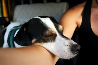 Close-up of dog with woman