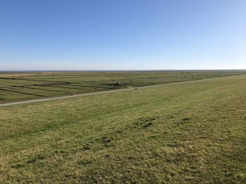 Scenic view of field against clear sky