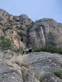 Rocks on land against clear sky