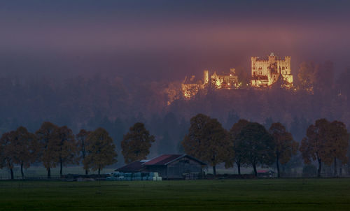 Trees and hohen schwangau castle against misty sunset