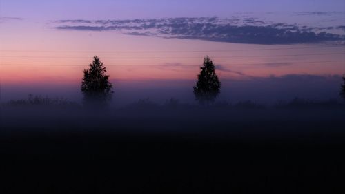 Silhouette of trees on landscape during sunset