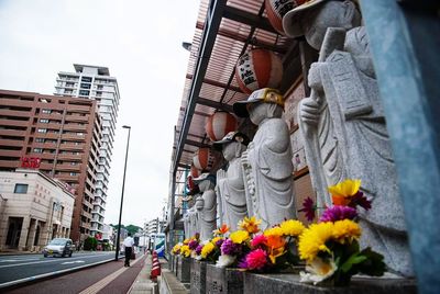 High angle view of flowers in city