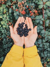Cropped hand of person holding berries in hand against plants
