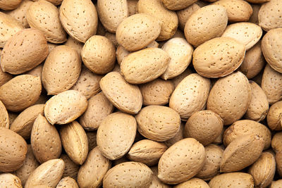 Full frame shot of beans