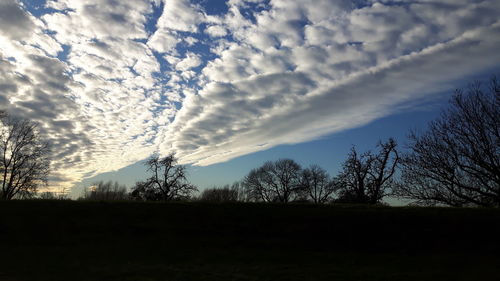 Silhouette bare trees on field against sky during sunset
