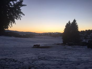 Silhouette trees on snow field against clear sky during sunset